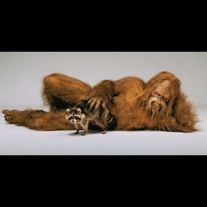 Meet your Posher, Dan